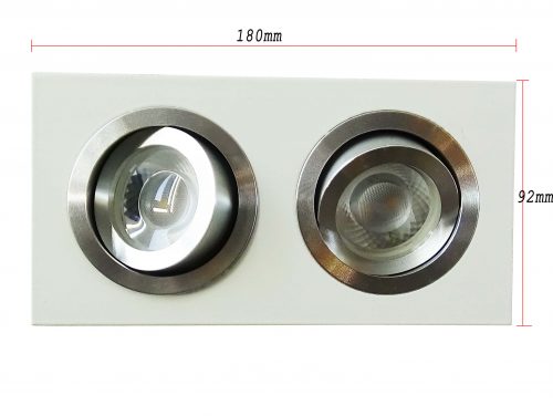 Akcentinis LED šviestuvas kryptinis dvigubas baltas