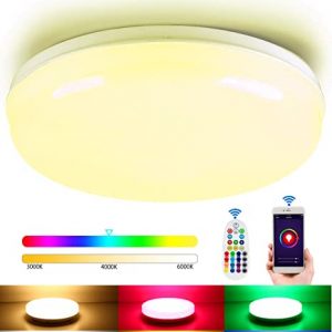 24W RGB LED šviestuvas su nuotoliniu valdymu 2700-6500K Dimeriuojamas