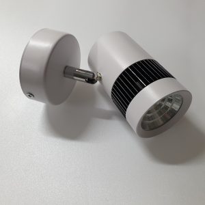 9W 6000K LED akcentinis šviestuvas baltas